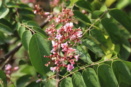 遇見陽光 東區(qū)田園農(nóng)莊，一場與光的詩意對話