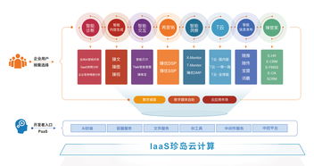 喜報 珍島榮膺2019上海軟件和信息技術服務業(yè)百強人工智能基礎軟件開發(fā)殊榮
