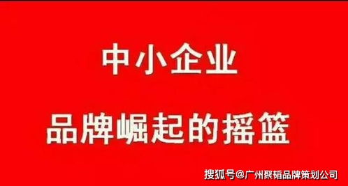 中小企業(yè)如何通過專業(yè)經(jīng)濟貿(mào)易咨詢，高效打造品牌策劃